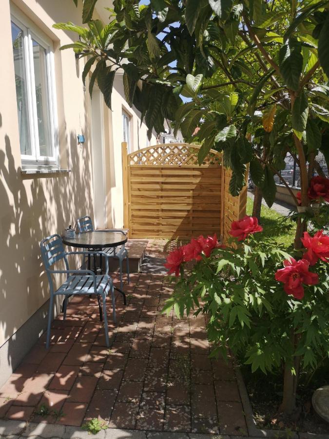 Terrasse Wohnungen Mit Parking In Zentrum Baden Eksteriør bilde
