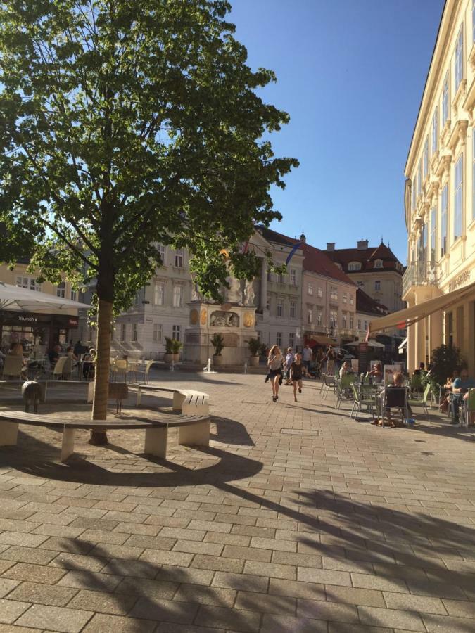 Terrasse Wohnungen Mit Parking In Zentrum Baden Eksteriør bilde