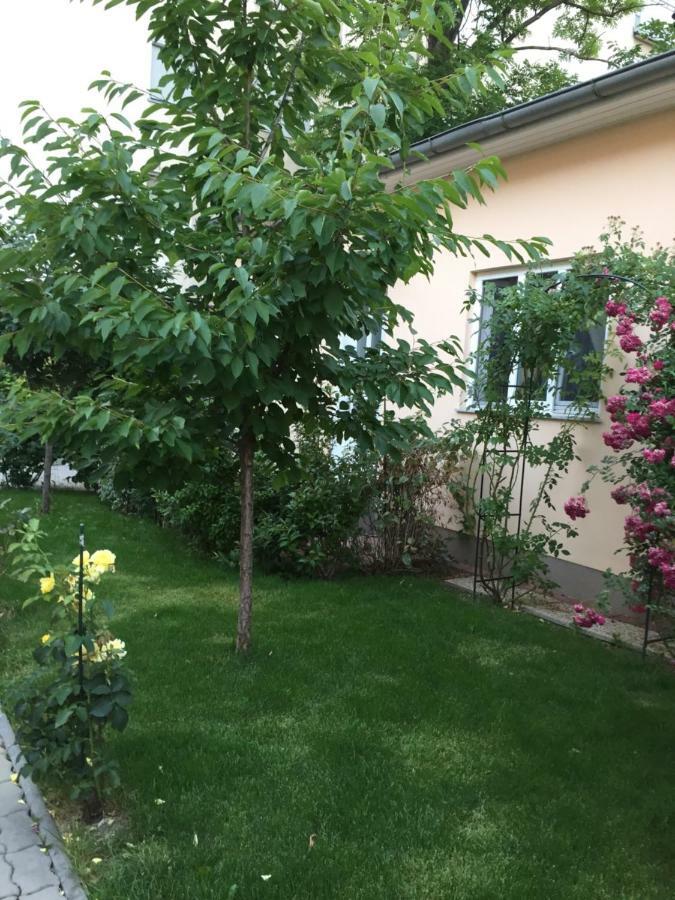 Terrasse Wohnungen Mit Parking In Zentrum Baden Eksteriør bilde